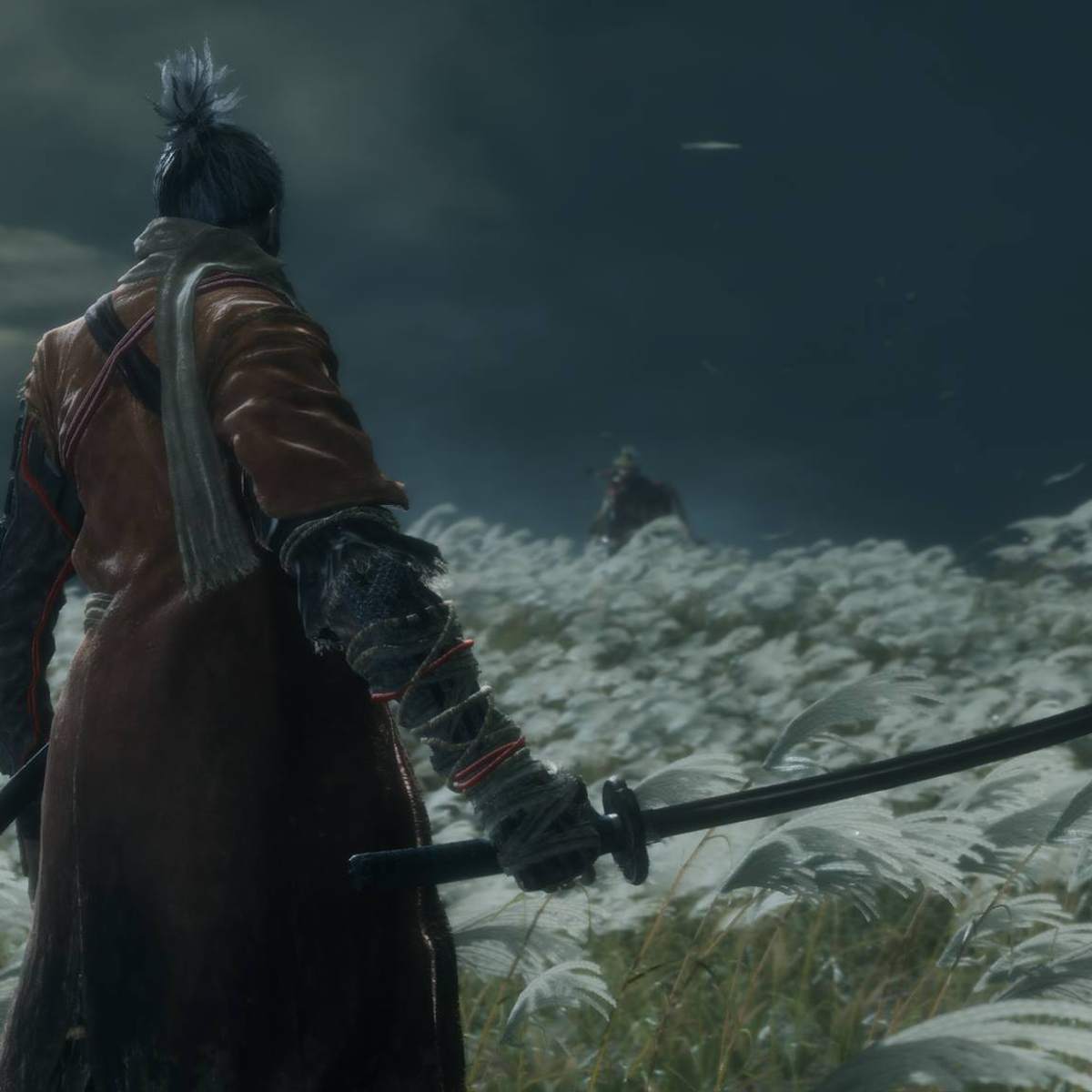 Sekiro: Shadows Die Twice review - FromSoftware at its most unapologetic